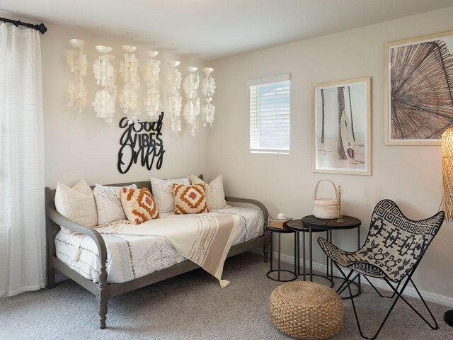 725 Sun Grove Trl, Georgetown, TX 78628 - photo 11