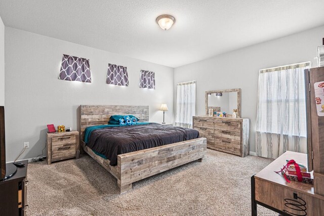 205 Unforgiven Ln, Jarrell, TX 76537 - photo 19