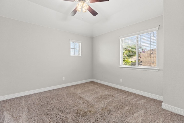 228 Blue Waterleaf Ln, Georgetown, TX 78626 - photo 30