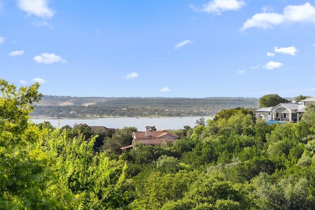 206 Barbuda Dr, Austin, TX 78734 - photo 4