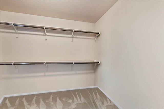 604 Longhorn Cavern Rd, Leander, TX 78641 - photo 28