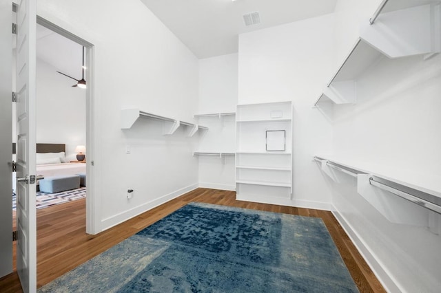 5428 Agatha Cir, Austin, TX 78724 - photo 21