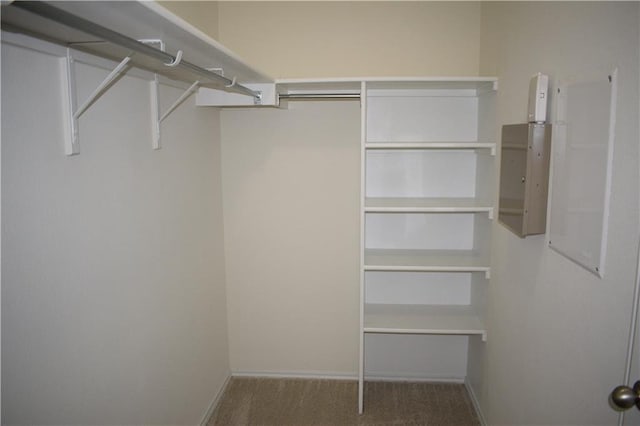 1425 Berlin Ln, Austin, TX 78753 - photo 13