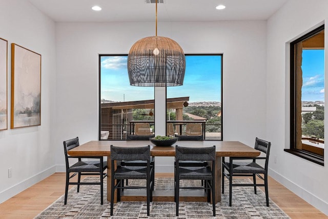 494 Primo Fiore Ter, Austin, TX 78738 - photo 15