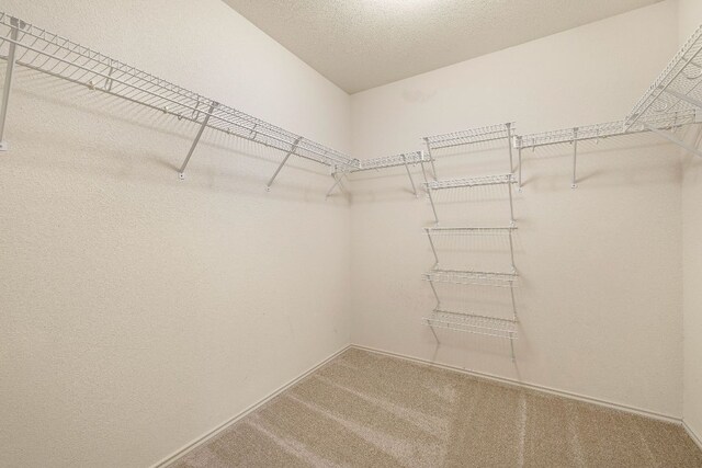 1504 Lady Grey Ave, Pflugerville, TX 78660 - photo 16
