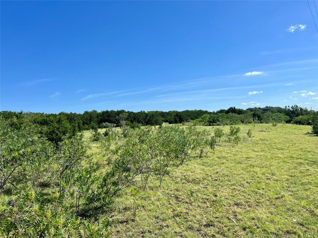 TBDLOT38 County Rd 201, Liberty Hill, TX 78642 - photo 4