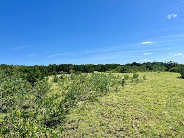 TBDLOT38 County Rd 201, Liberty Hill, TX 78642 - photo 4