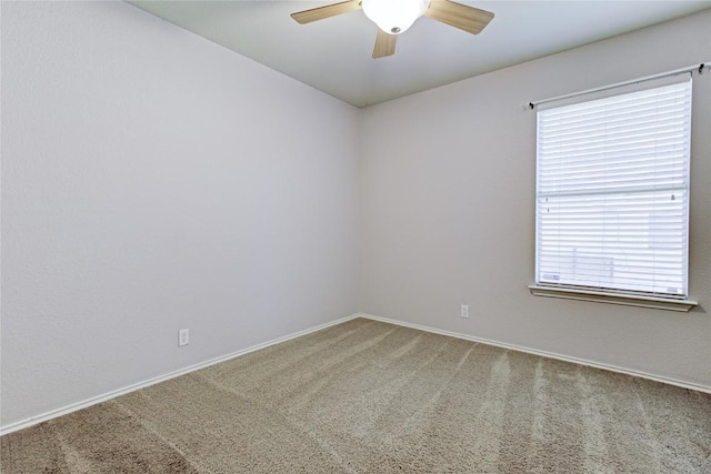 115 Loryn Dr, Hutto, TX 78634 - photo 23