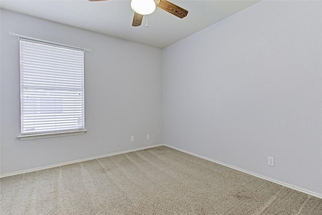 115 Loryn Dr, Hutto, TX 78634 - photo 25