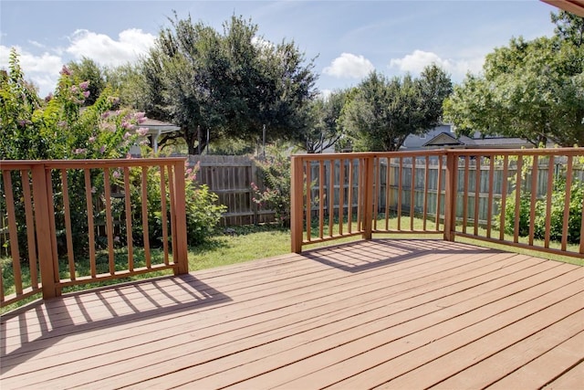 115 Loryn Dr, Hutto, TX 78634 - photo 38