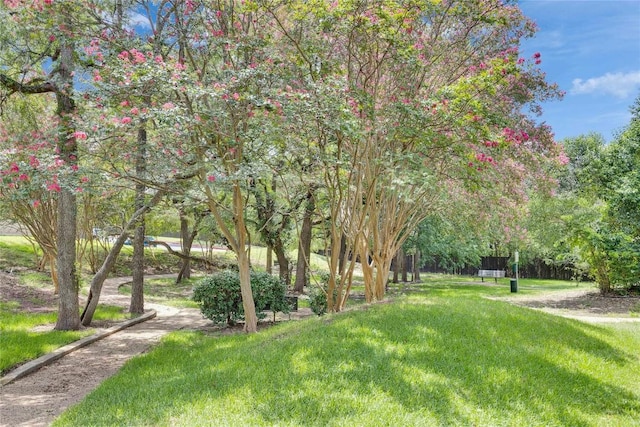 1015 E Yager Ln Unit 205, Austin, TX 78753 - photo 31