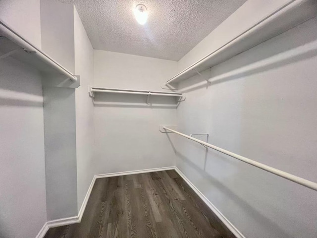 14303 Kincheloe St, Austin, TX 78725 - photo 12
