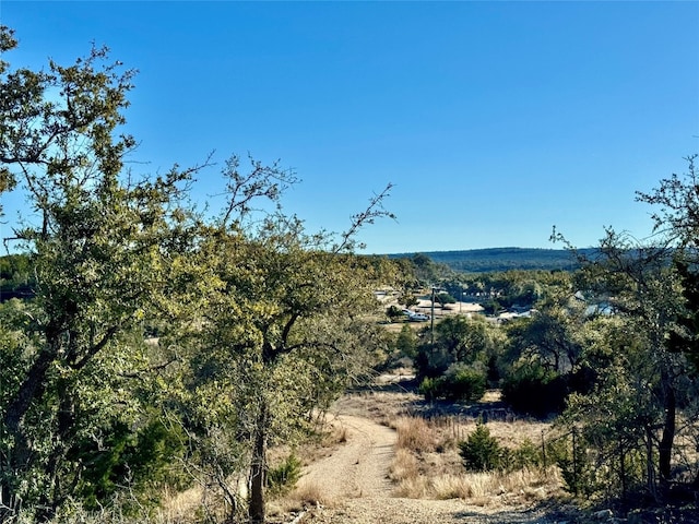 640 Sycamore Creek Dr, Dripping Springs, TX 78620 - photo 5