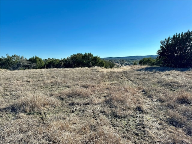 640 Sycamore Creek Dr, Dripping Springs, TX 78620 - photo 7