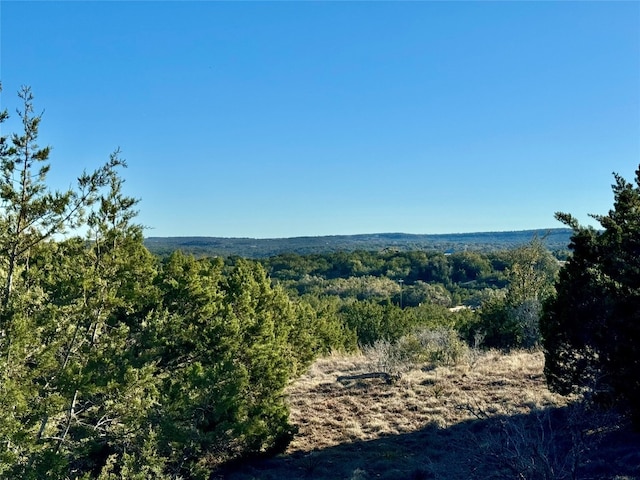 640 Sycamore Creek Dr, Dripping Springs, TX 78620 - photo 8