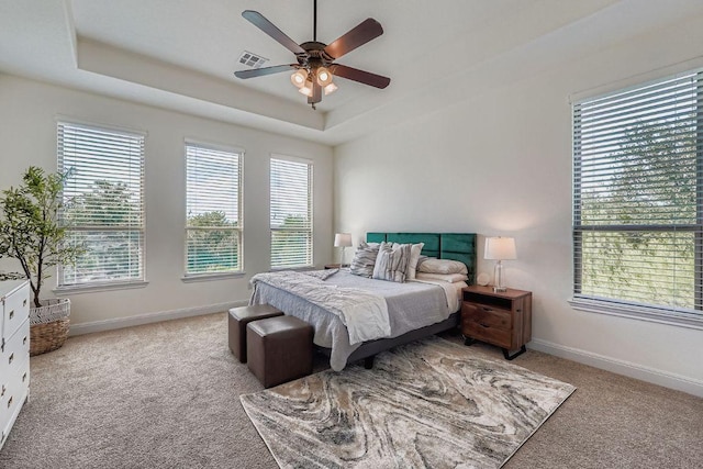 246 Bristlecone Dr, Driftwood, TX 78619 - photo 15
