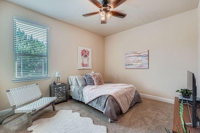 246 Bristlecone Dr, Driftwood, TX 78619 - photo 20