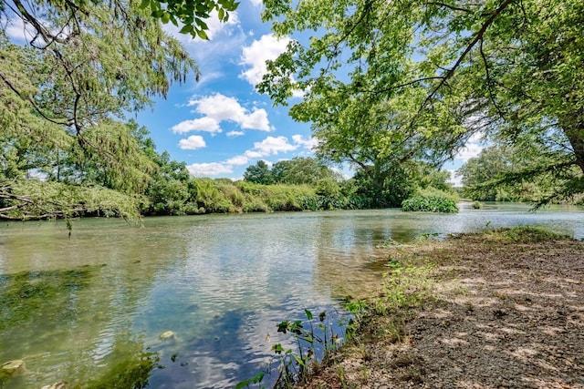 332 River Ranch Cir, Martindale, TX 78655 - photo 26