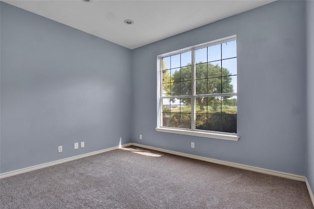 16605 Deep Meadow Cv, Manor, TX 78653 - photo 16