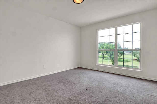 16605 Deep Meadow Cv, Manor, TX 78653 - photo 23