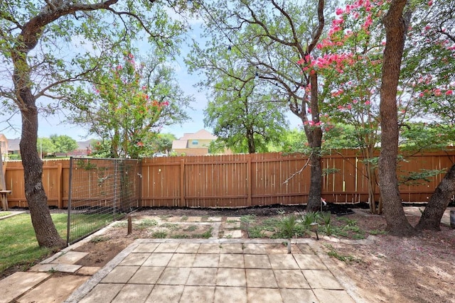 4506 Zacharys Run, Cedar Park, TX 78613 - photo 36