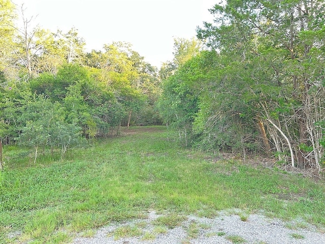 117 Caddo, Smithville, TX 78957 - photo 5