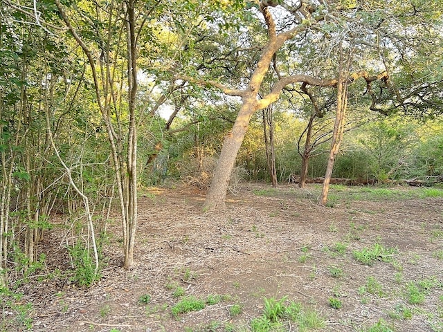 117 Caddo, Smithville, TX 78957 - photo 3