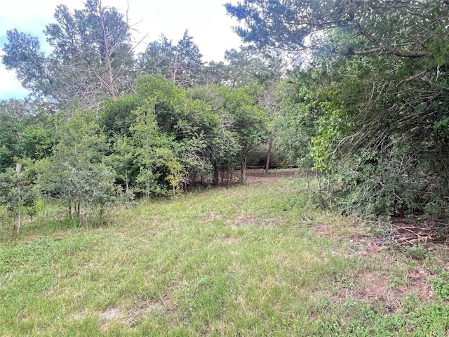 117 Caddo, Smithville, TX 78957 - photo 4