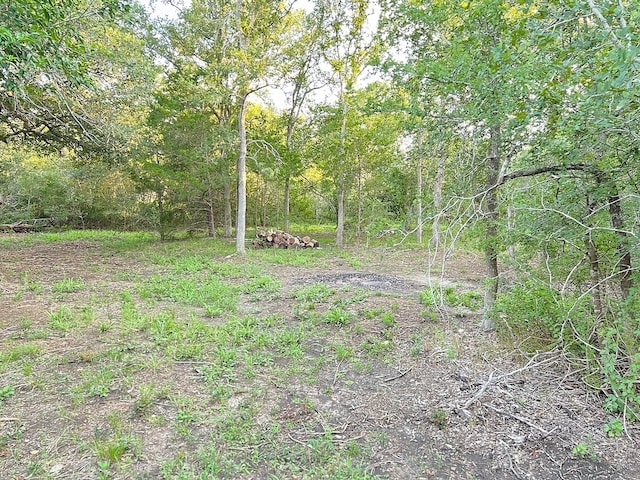117 Caddo, Smithville, TX 78957 - photo 13