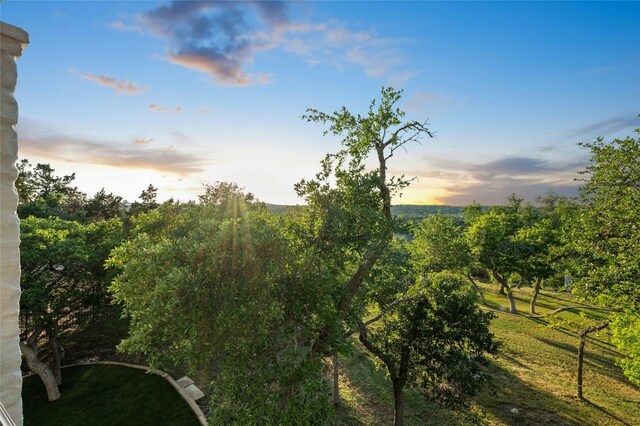 838 Covered Bridge Dr, Driftwood, TX 78619 - photo 21