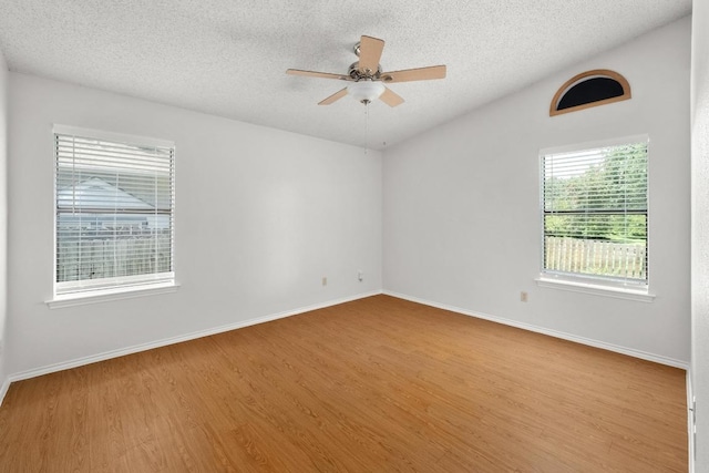 13120 Greybull Trl, Austin, TX 78729 - photo 8