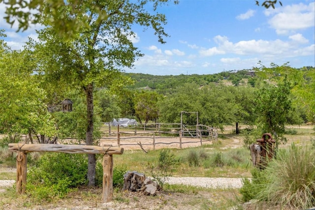 2822 Stagecoach Ranch Rd, Dripping Springs, TX 78620 - photo 22