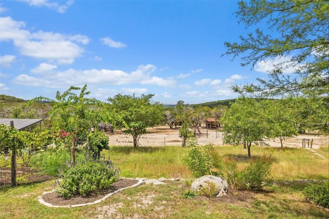 2822 Stagecoach Ranch Rd, Dripping Springs, TX 78620 - photo 23