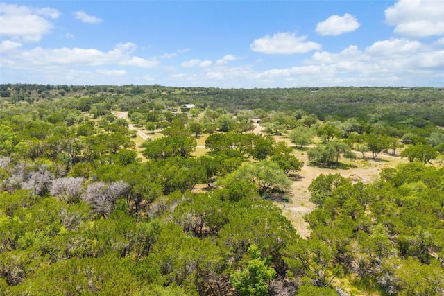 2822 Stagecoach Ranch Rd, Dripping Springs, TX 78620 - photo 26