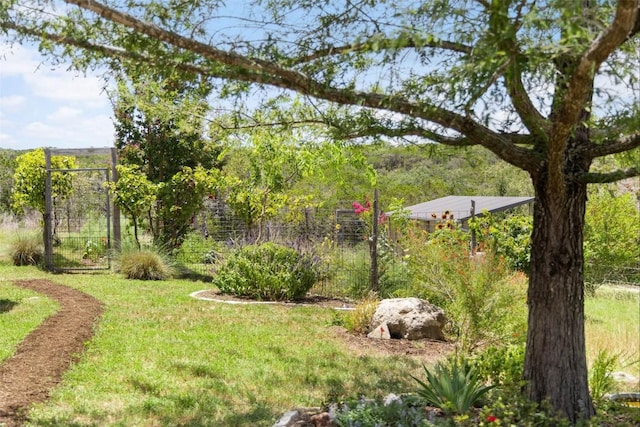2822 Stagecoach Ranch Rd, Dripping Springs, TX 78620 - photo 35