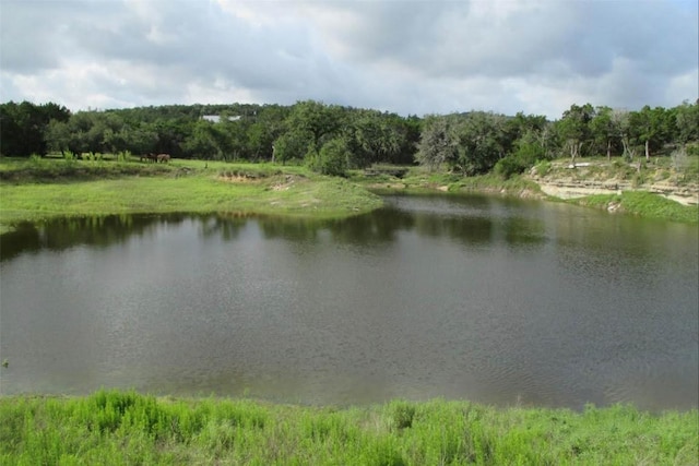 2822 Stagecoach Ranch Rd, Dripping Springs, TX 78620 - photo 37