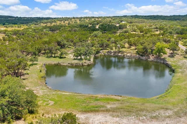 2822 Stagecoach Ranch Rd, Dripping Springs, TX 78620 - photo 3