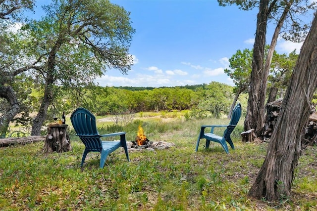 2822 Stagecoach Ranch Rd, Dripping Springs, TX 78620 - photo 4