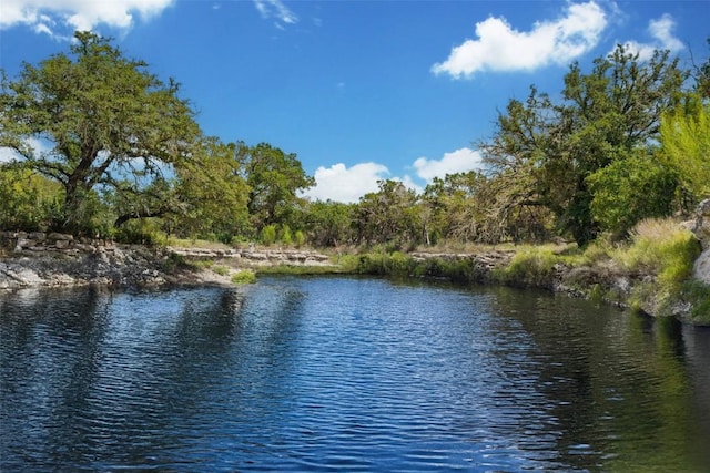 2822 Stagecoach Ranch Rd, Dripping Springs, TX 78620 - photo 1