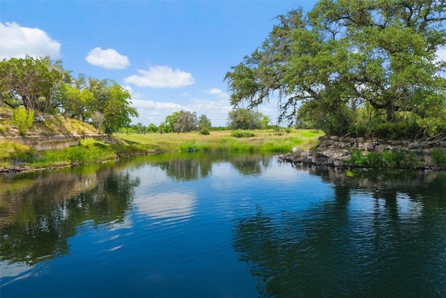 2822 Stagecoach Ranch Rd, Dripping Springs, TX 78620 - photo 6