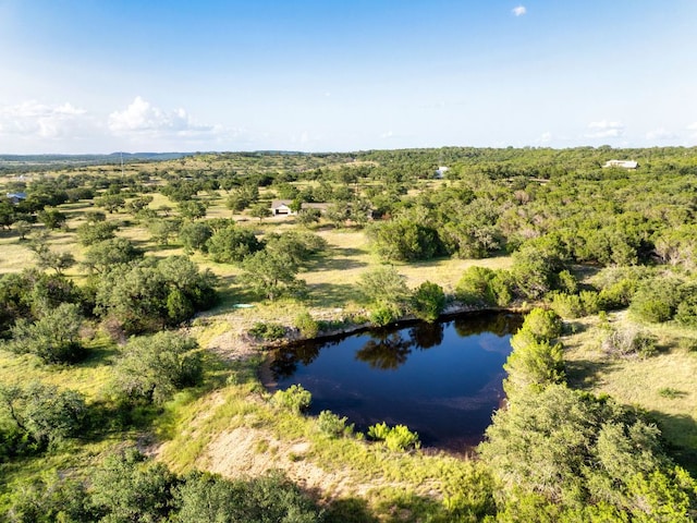 7670 E Fm 1431, Marble Falls, TX 78654 - photo 5