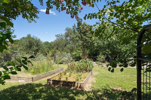 1021 Canyon View Rd, Dripping Springs, TX 78620 - photo 31