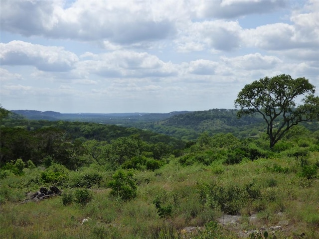 5771 Hilliard Rd, San Marcos, TX 78666 - photo 6