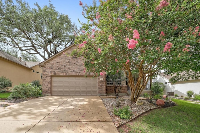 122 Larkspur Ln, Georgetown, TX 78633 - photo 1