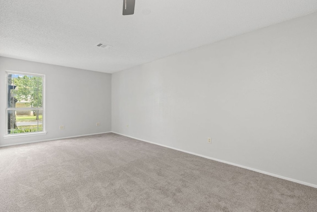1901 Bienville St, Austin, TX 78727 - photo 17