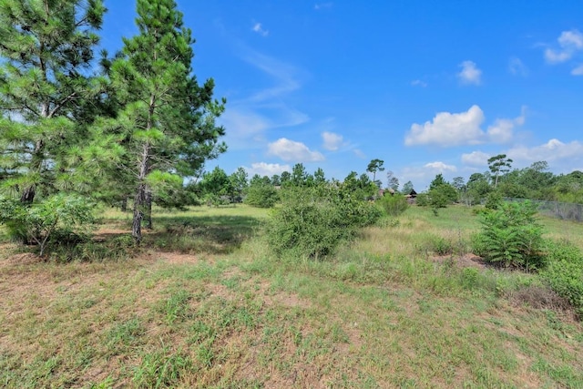 152 Lakeside Dr, Bastrop, TX 78602 - photo 38