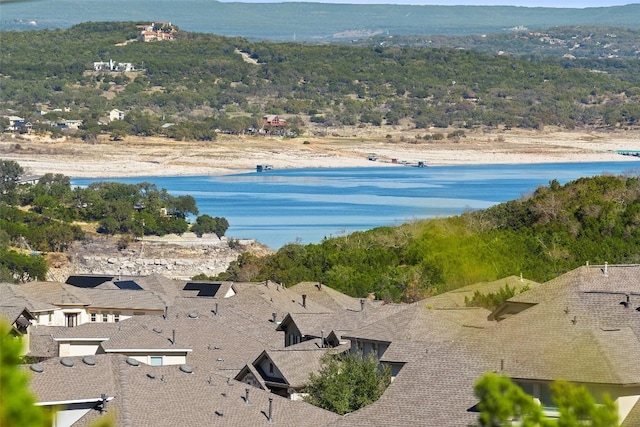 420 Lindale Cv, Austin, TX 78738 - photo 10