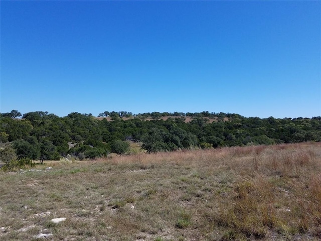 426 Cedar Mountain Dr, Marble Falls, TX 78654 - photo 15