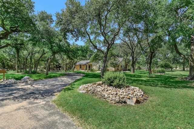 4014 Ramada Trl, Georgetown, TX 78628 - photo 4