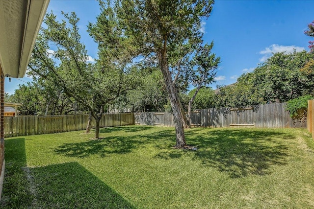 111 S Gadwall Ln, Cedar Park, TX 78613 - photo 30
